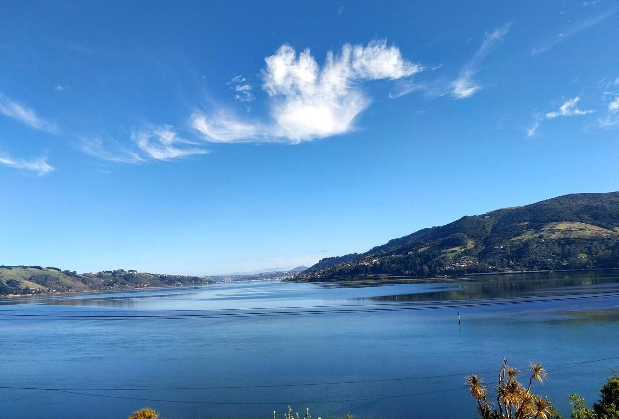 The Views Hotell Dunedin Exteriör bild